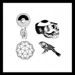 woods-withlightandlove