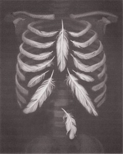 ribcage-feathers-s6-819x1024